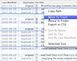 Duplicates Column